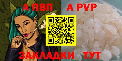 бошки Кингисепп