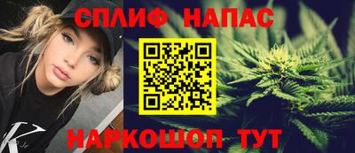 бошки Кингисепп
