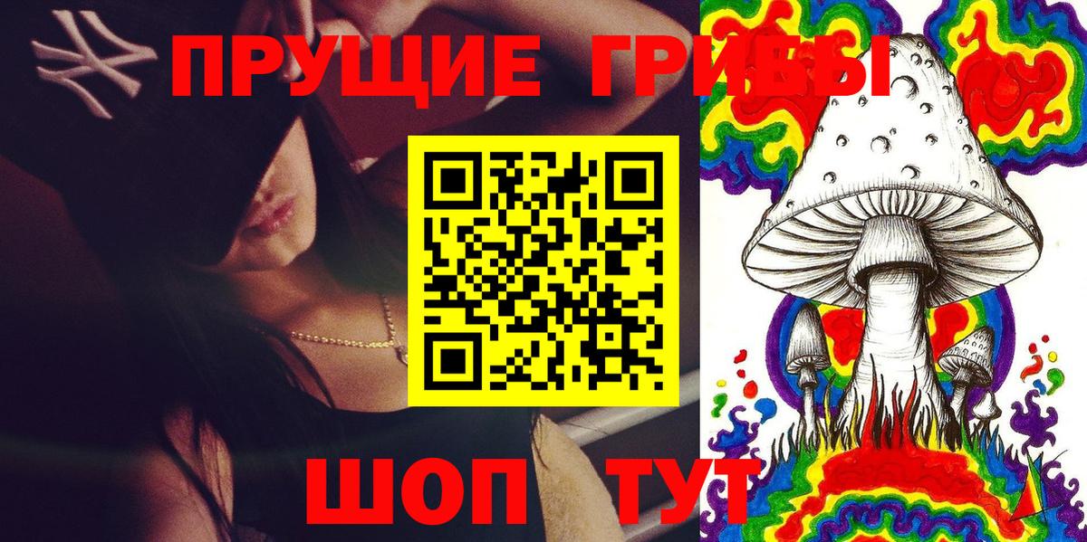 Галлюциногенные грибы прущие грибы  Псилоцибиновые грибы прущие грибы  Котлас  Вход с VPN 